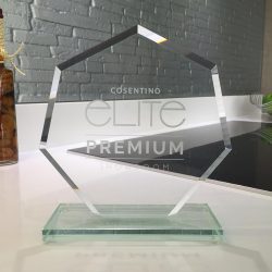 Elite Premium Showroom